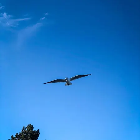 Foerdeglueck Ahoi Apartmán *