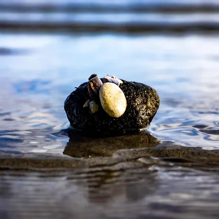 Foerdeglueck Ahoi * Glücksburg