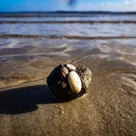 Foerdeglueck Ahoi Glücksburg